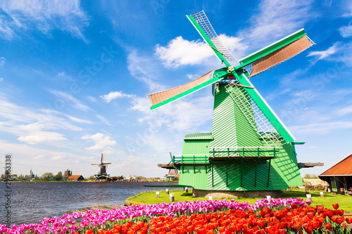 Dutch landscape with traditional dutch windmills with colorful tulips near the canal in Zaanse Schans village, Netherlands. Spring traditional landscape in Netherlands
