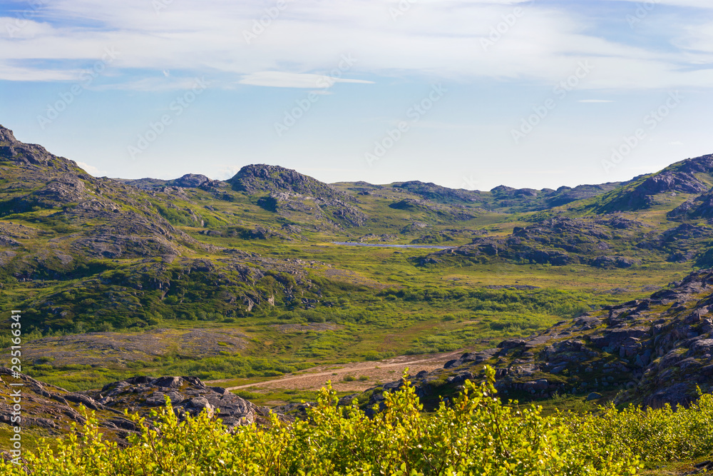 Landscape in the tundra. Green valley among the rocks in the Northern climate. Gentle blue sky haze descends on the green landscape. Here and there there is a rocky rock