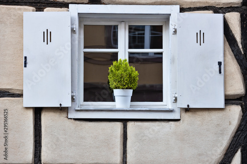 Window with wooden shutter and plant pot photo