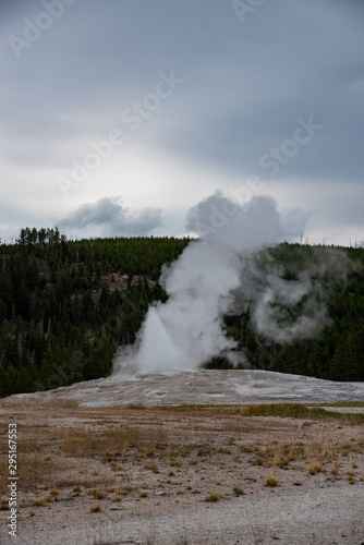 Iconic geyser in Yellowstone, the old Faitful photo