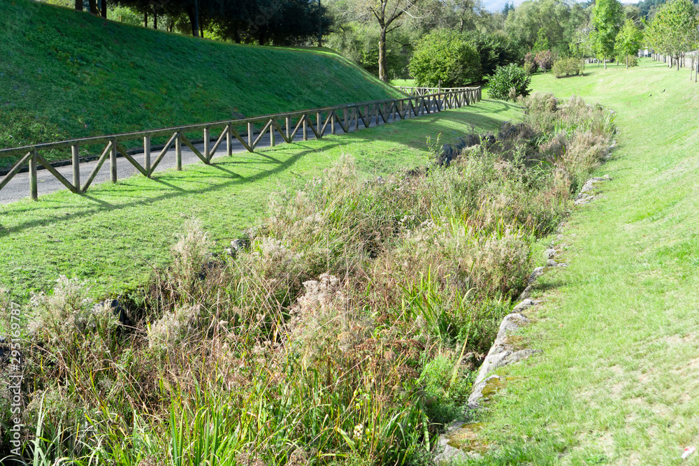 An irrigation drainage canal overgrown with reeds and vegetation in a wild park on a hillside