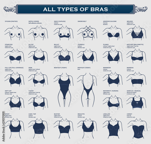 Types of bras. The most complete vector collection of lingerie