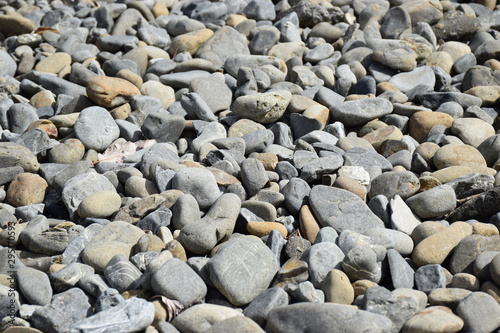 Grey rocks and stones on a pebble beach in Wellington, New Zealand