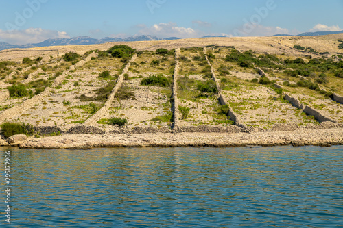Canvas Print adria croatia pag