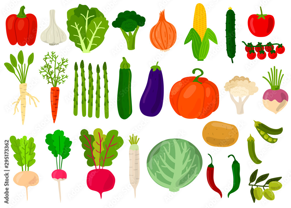 Harvest. Set of fresh vegetables. Cabbage, peppers, tomatoes, broccoli, lettuce,  olive, beat, potato, asparagus, pumpkin, garlic, peas, onion, corn, carrot, radish, cauliflower. Vector illustration.