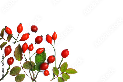 Rosehips on a white background