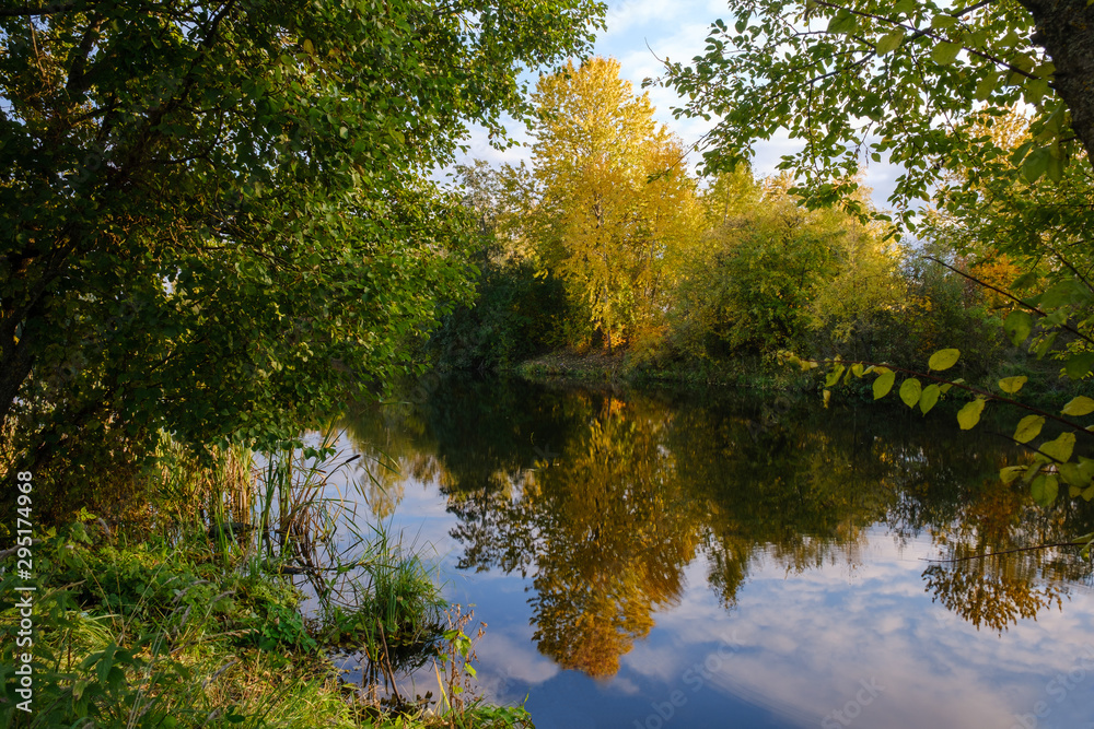 Trees in autumn colors on the coast of a quiet river in a forest at the beginning of october