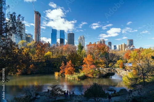 new york city skyline © Max