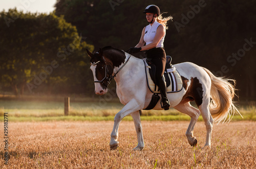 Reiterin trabt mit ihrem Pferd über ein Stoppelfeld im Sonnenuntergang und trainiert Dressur © Talitha