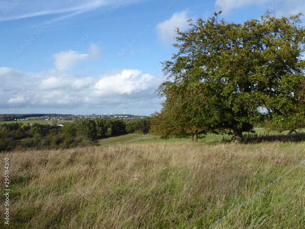 wilde, weite natur im herbst