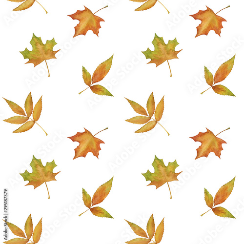 Hand drawn colorful autumn leaves seamless pattern