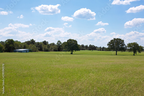 Pasture with a few trees and a barn in the distance with billowy clouds and blue sky