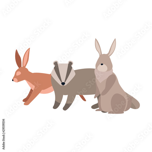 cartoon rabbits and raccoon design © Jemastock