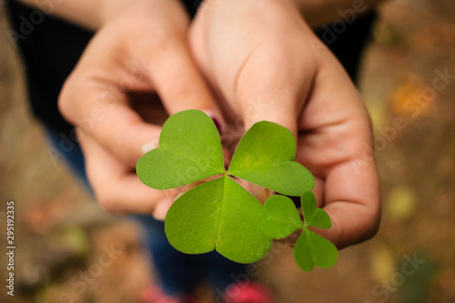 fourleaf clover in hand