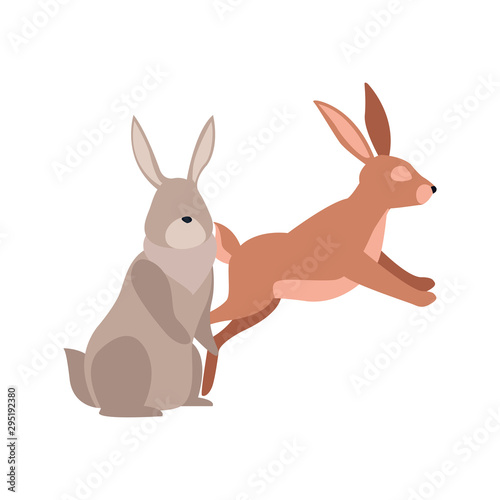 cartoon rabbits icon, flat design