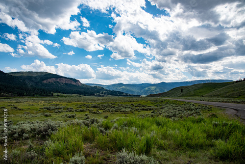 Lamar valley in Yellowstone National Park