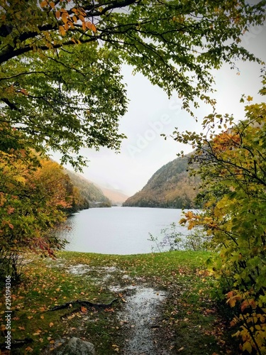 lake in the forest