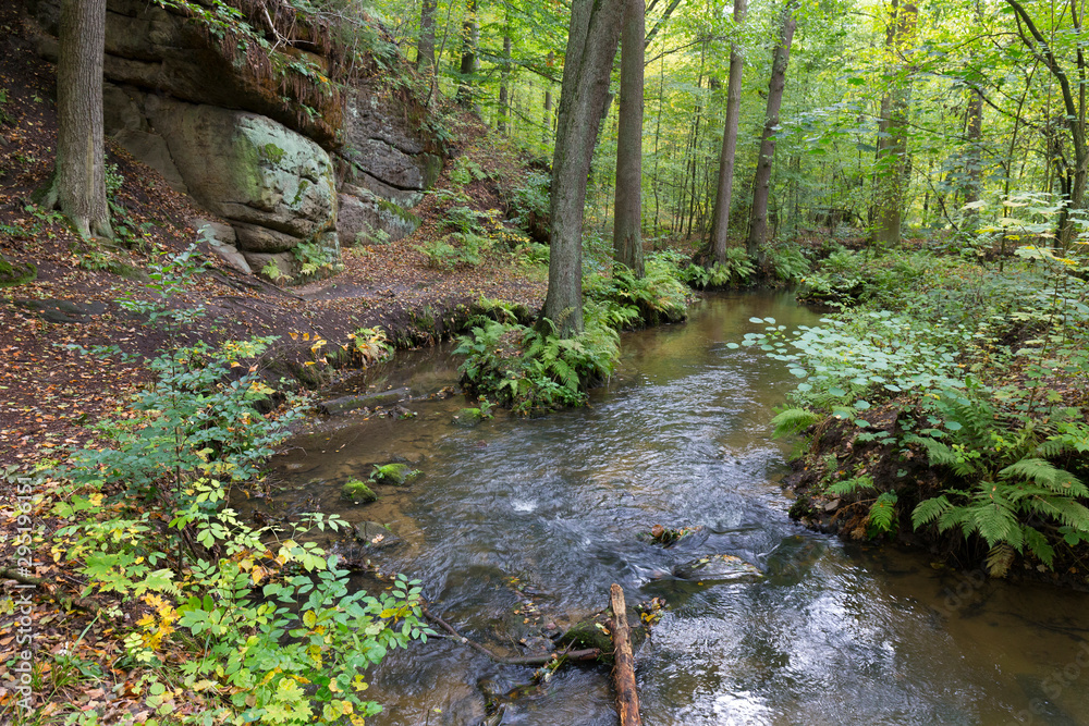 Forest autumn Nature about Creek in northern Bohemia, Lusatian Mountains, Czech Republic Forest autumn Nature about Creek in northern Bohemia, Lusatian Mountains, Czech Republic