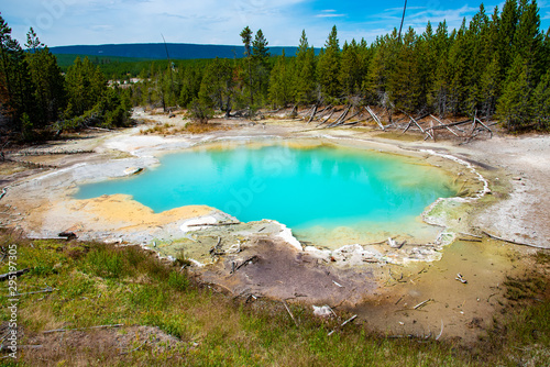 Geothermal feature at Norris geyser basin at Yellowstone National Park (USA)
