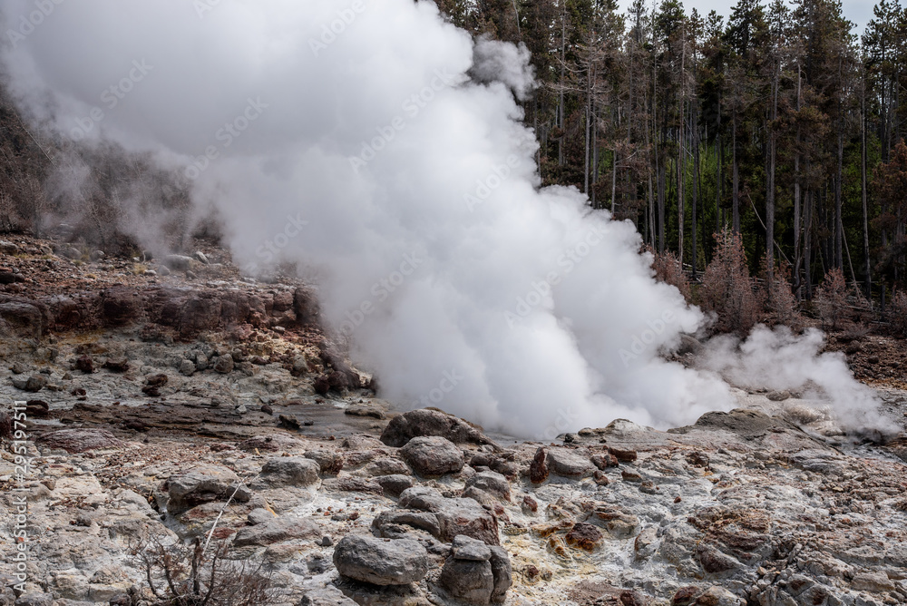 Geothermal feature at Norris geyser basin area at Yellowstone National Park (USA)