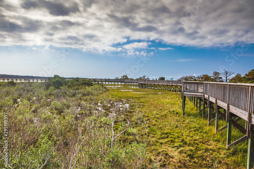 Life of the Marsh Nature Trail at Assateague