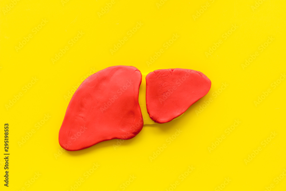 Obraz premium Liver studying and working. Organ on yellow background top view