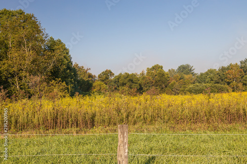 Cades Cove in Great Smoky Mountains National Park