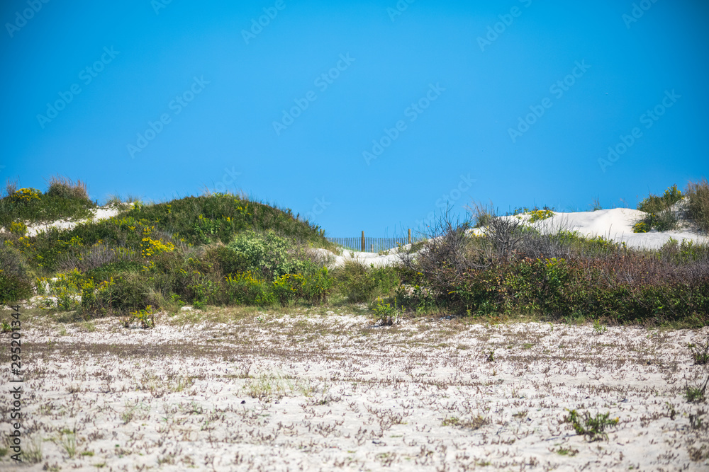 Sand Dunes at South Ocean Beach on Assateague Island