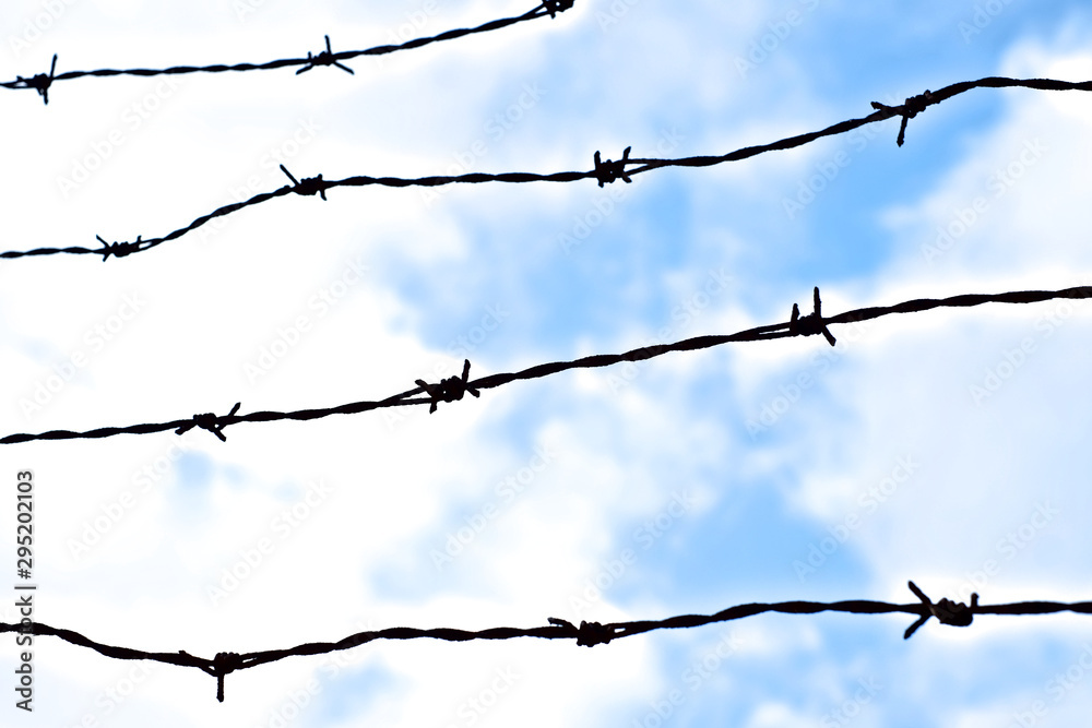 Idea of freedom: barbed wire and sky with clouds. Idea of freedom: barbed wire and sky with clouds.