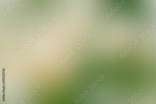 Gradient abstract background green, grass, meadow, lawn, field, backyard with copy space