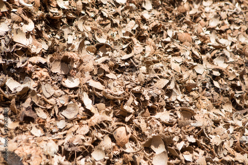 Coconut shell pile texture background