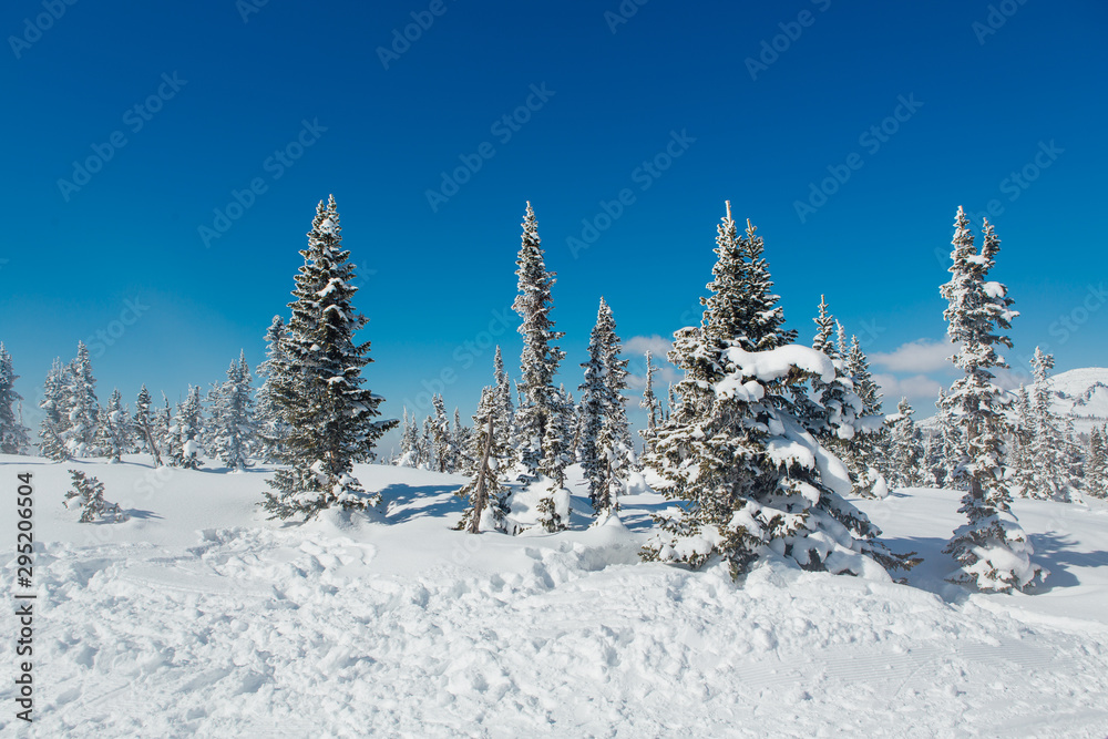 Beautiful winter landscape. Snow covered forest and mountain. Beautiful winter landscape. Snow covered forest and mountain.