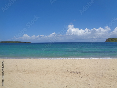 Playa solitaria en Vieques  Puerto Rico