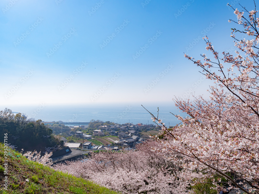 桜の丘から見える町並み