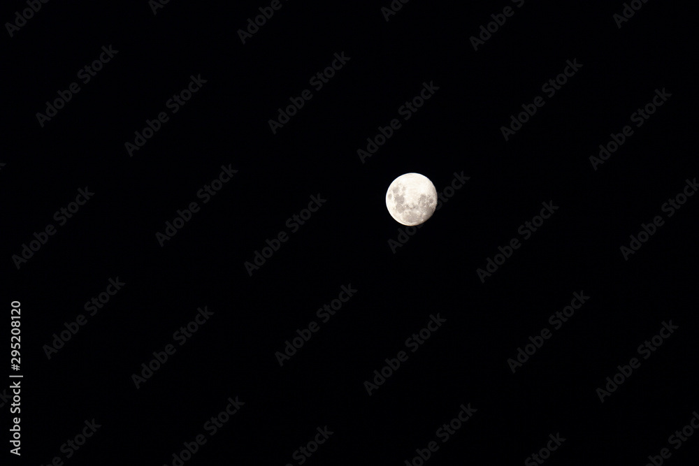 Bright white surface full moon high in the night sky. Bright white surface full moon high in the night sky.