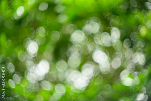 Swirling bokeh background of trees in a bright green garden Shot with a vintage lens.