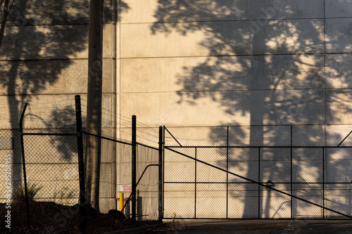 Tall tree casting shadow on brutalist factory warehouse wall during afternoon light.