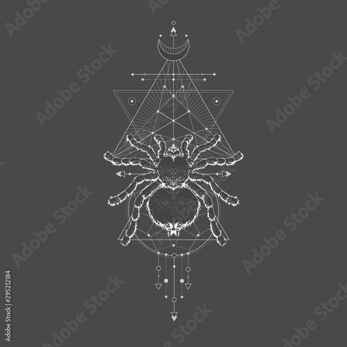 Vector illustration with hand drawn spider tarantula and Sacred geometric symbol on black vintage background. Abstract mystic sign sign.