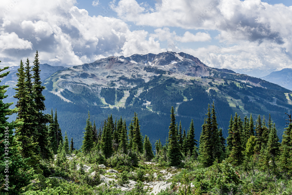 Bird view of the Whistler mountain in the morning from the top.