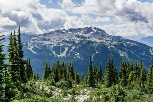 Bird view of the Whistler mountain in the morning from the top.