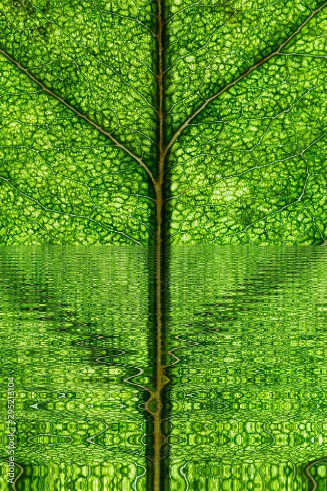 Obraz premium background liquid abstract graphic design. colorful dynamic.
