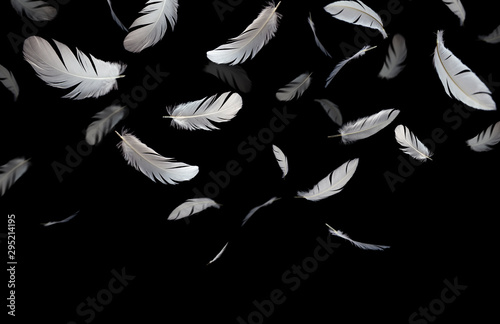 Feather abstract background, Soft white feathers falling down in the dark