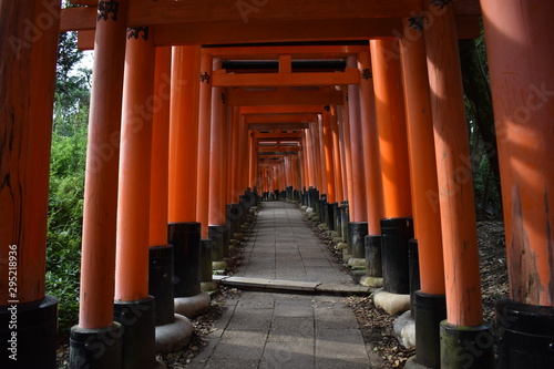 Japanese shrine gates road in Kyoto