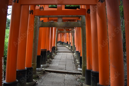 Japanese shrine gates road in Kyoto