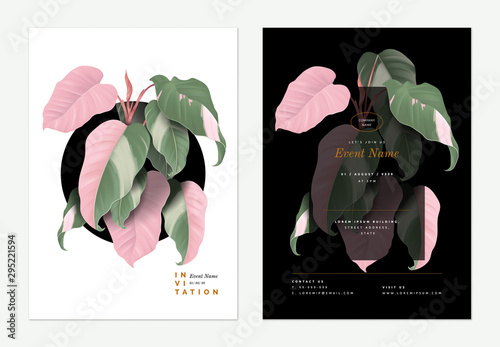 Event invitation card template design, Philodendron pink princess plant decorated on black