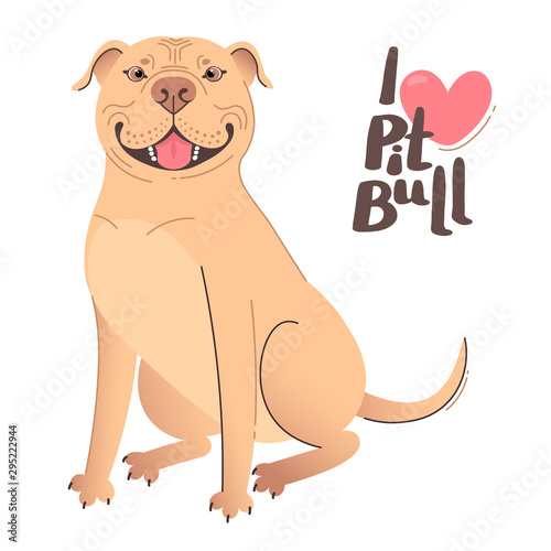 Buckskin brown beige pit bull terrier. I love pitbull. Vector illustration