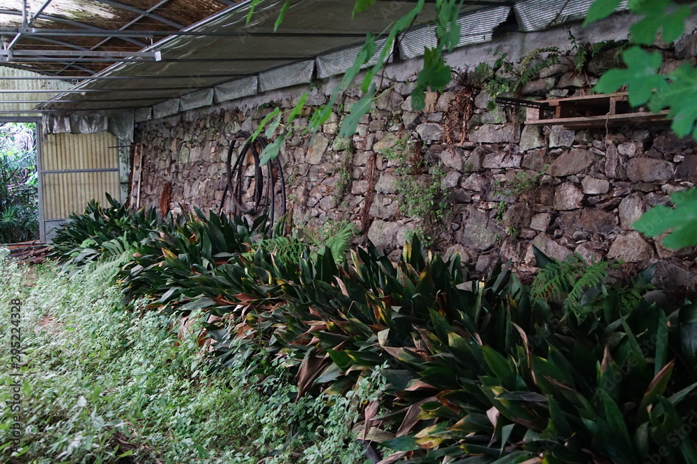 Bilder eines verlassenen Parks mit Gewächshäusern in Italien Bilder eines verlassenen Parks mit Gewächshäusern in Italien