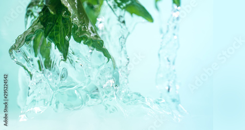 Water jets flowing from the green fresh leaves of mint.