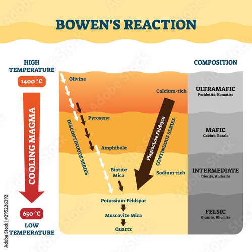 Bowens reaction vector illustration. Labeled petrology work explanation. photo