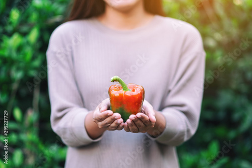 A woman holding a fresh bell pepper in hand